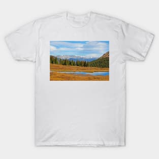 James Peak Wilderness from Guanella Pass T-Shirt